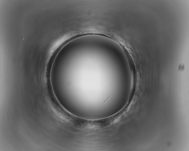 X0000091970248200709061338