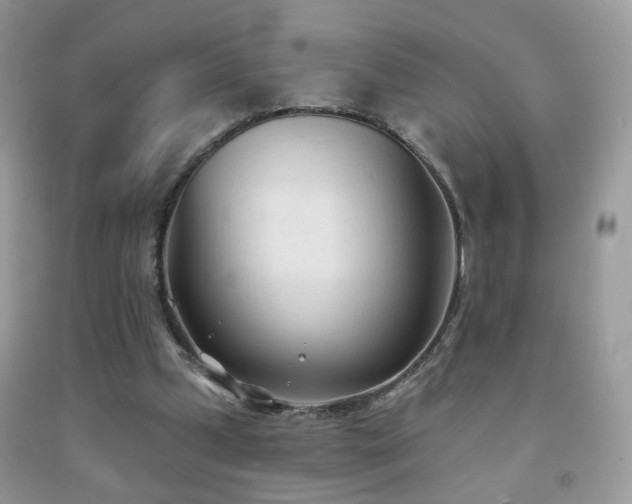 X0000091970249200709061338
