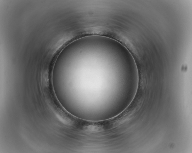 X0000091970251200709061338