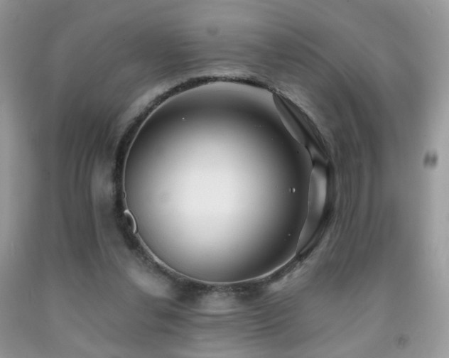 X0000091970252200709061338