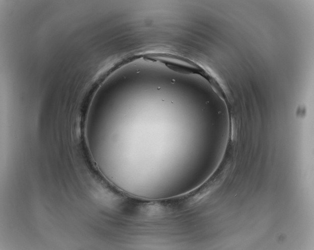 X0000091970253200709061338