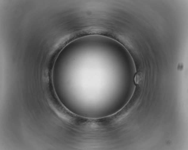X0000091970254200709061338