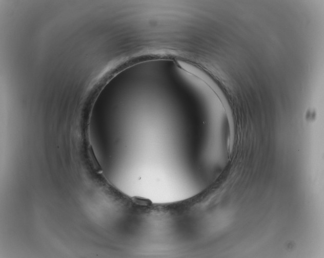 X0000091970256200709061338