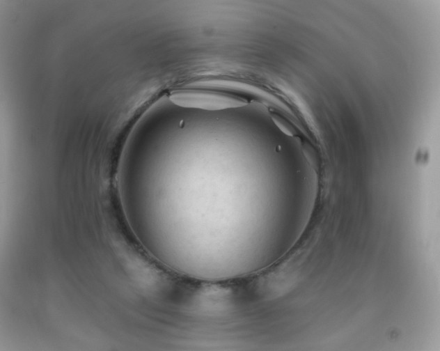 X0000091970257200709061338