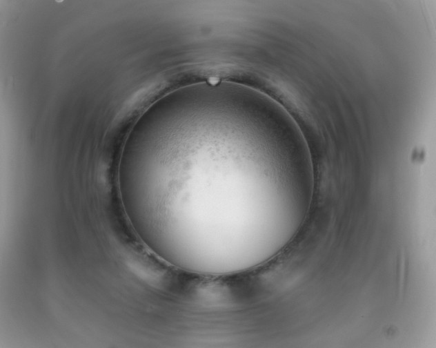 X0000091970258200709061338