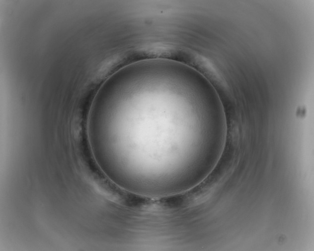 X0000091970259200709061338