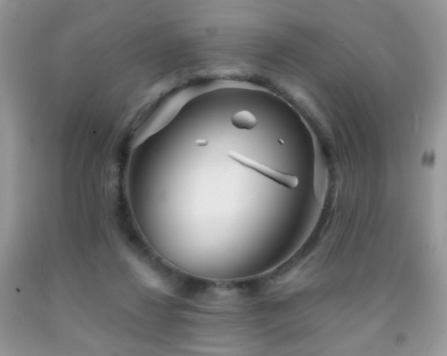 X0000091970260200709061338
