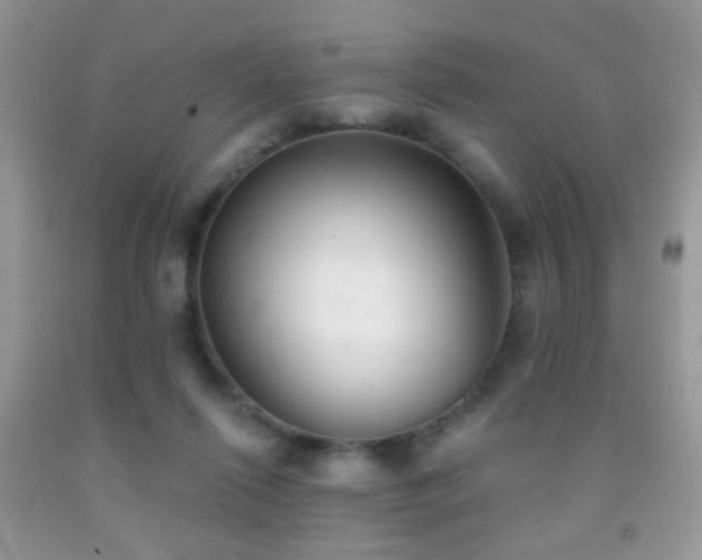 X0000091970262200709061338