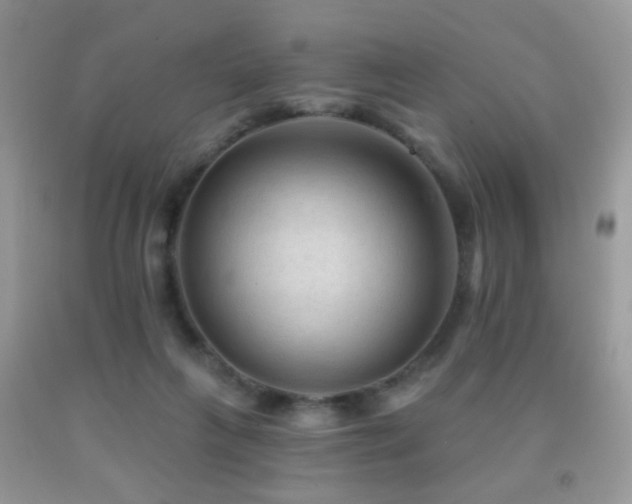 X0000091970263200709061338