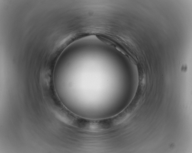 X0000091970264200709061338