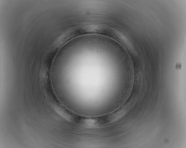 X0000091970265200709061338