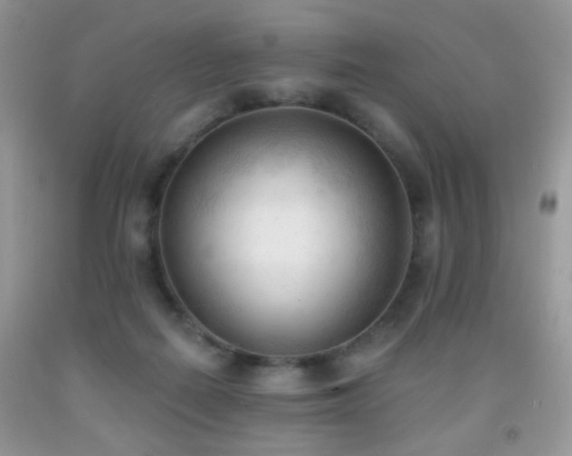 X0000091970266200709061338