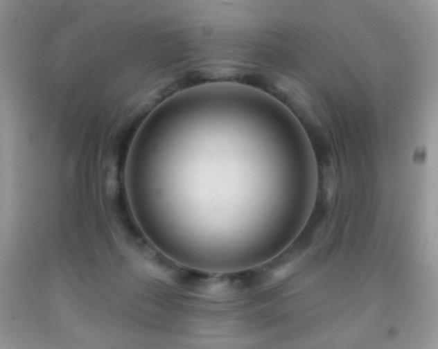 X0000091970267200709061338