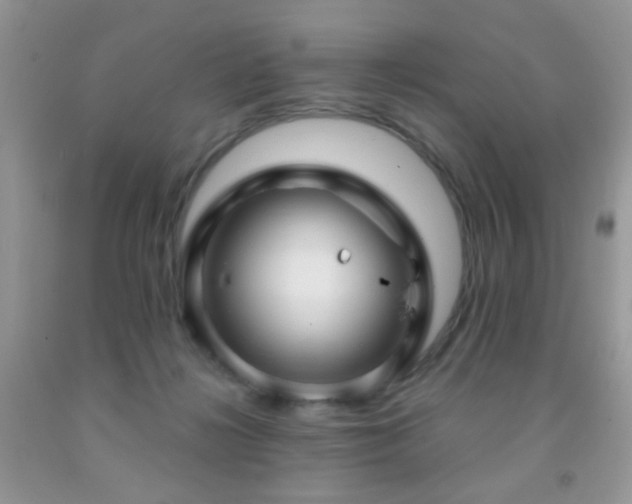 X0000091970268200709061338