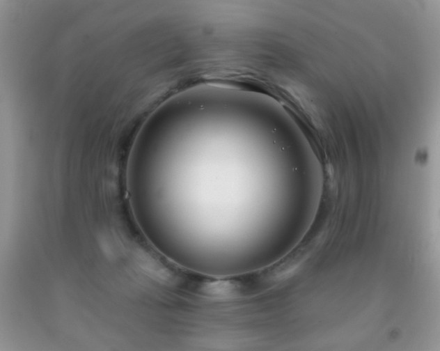 X0000091970269200709061338