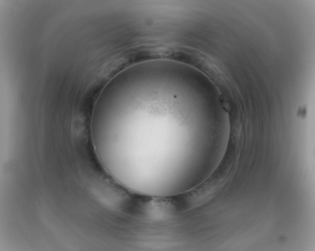 X0000091970270200709061338