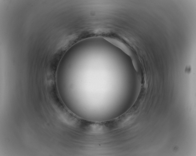 X0000091970272200709061338