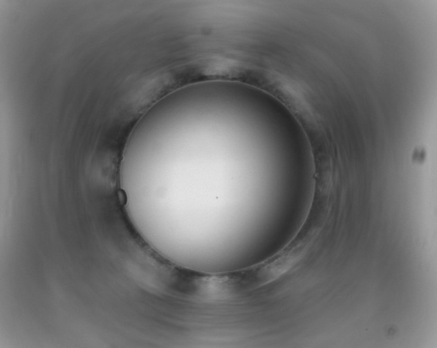X0000091970273200709061338