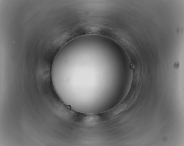 X0000091970274200709061339