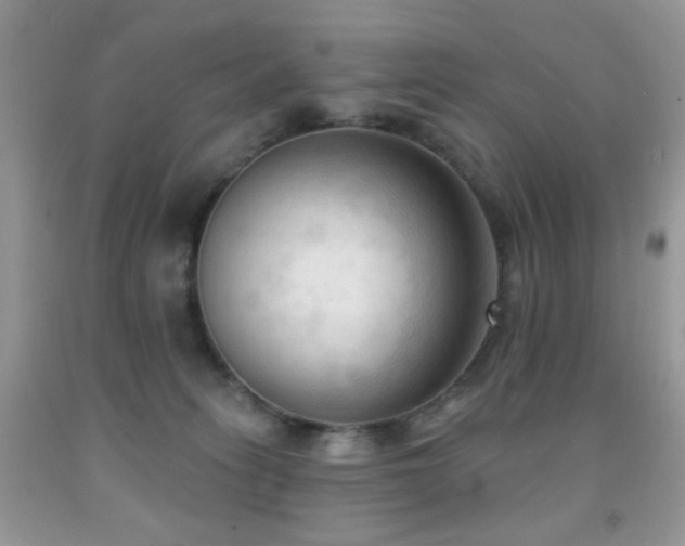 X0000091970275200709061339