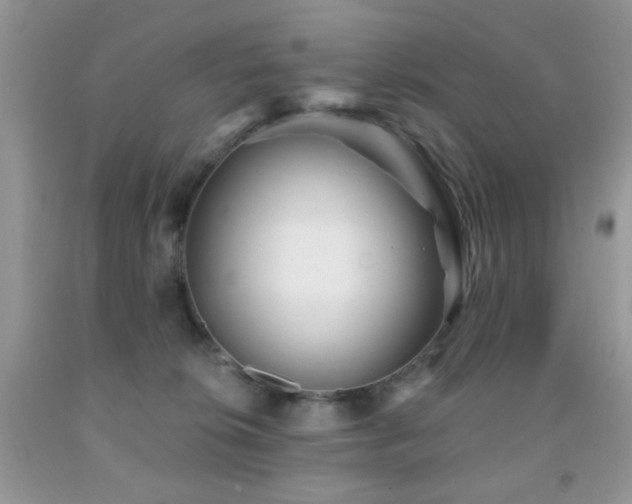 X0000091970276200709061339