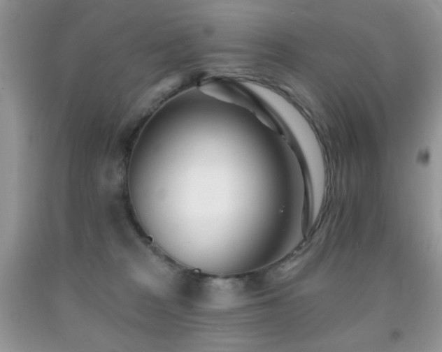 X0000091970277200709061339
