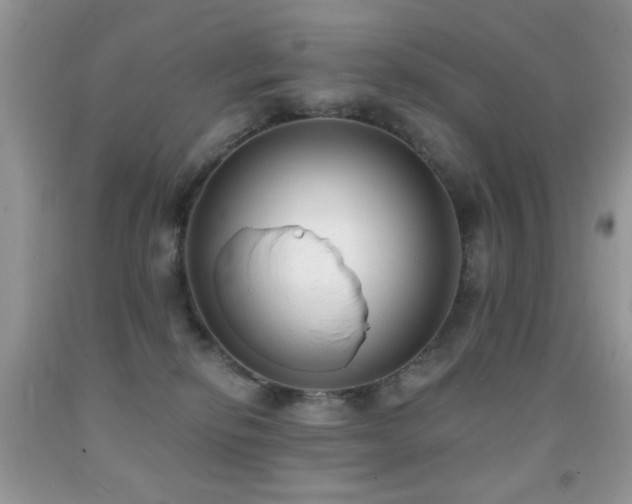 X0000091970278200709061339