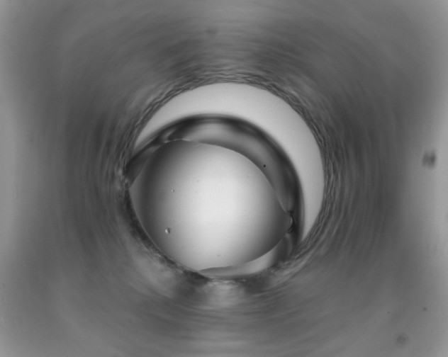 X0000091970280200709061339