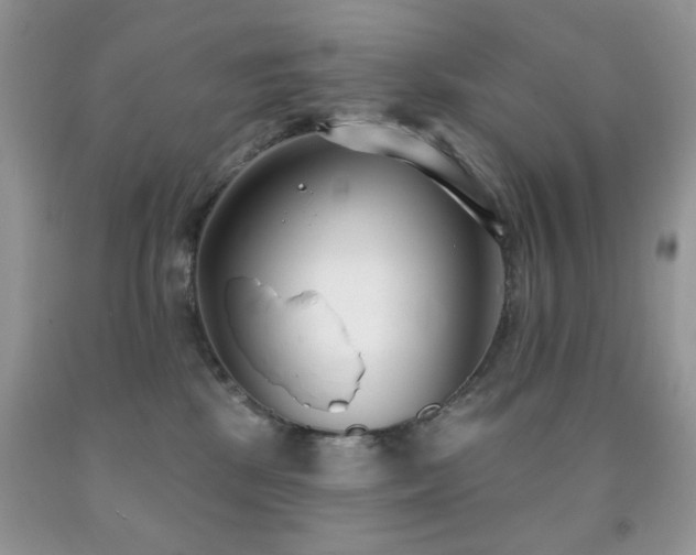X0000091970281200709061339