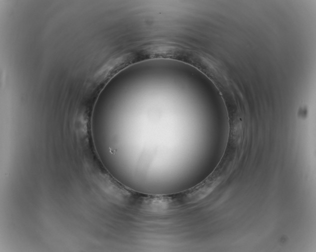 X0000091970282200709061339