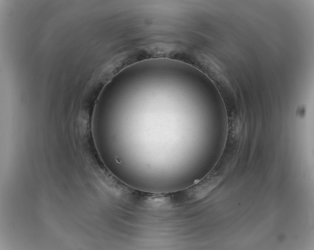X0000091970283200709061339