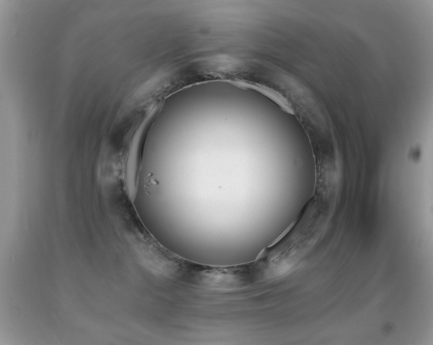 X0000091970284200709061339