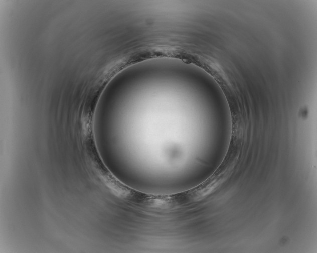 X0000091970285200709061339