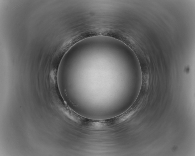 X0000091970286200709061339