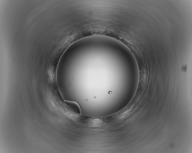 X0000091970287200709061339