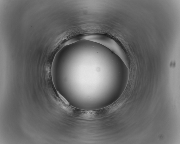 X0000091970288200709061339