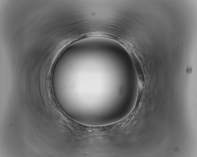 X0000091970289200709061338