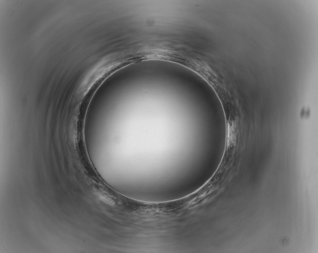 X0000091970291200709061338
