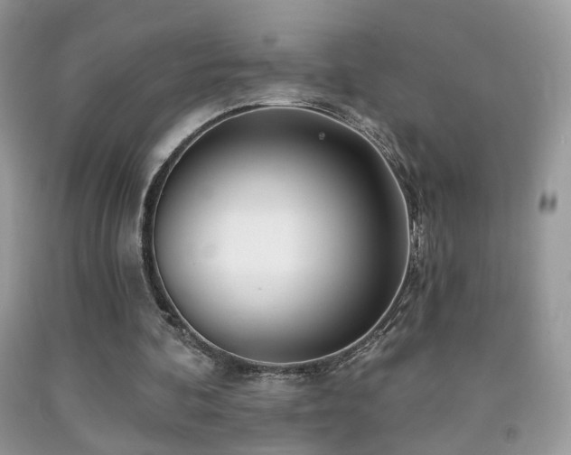 X0000091970292200709061338