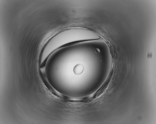 X0000091970293200709061338