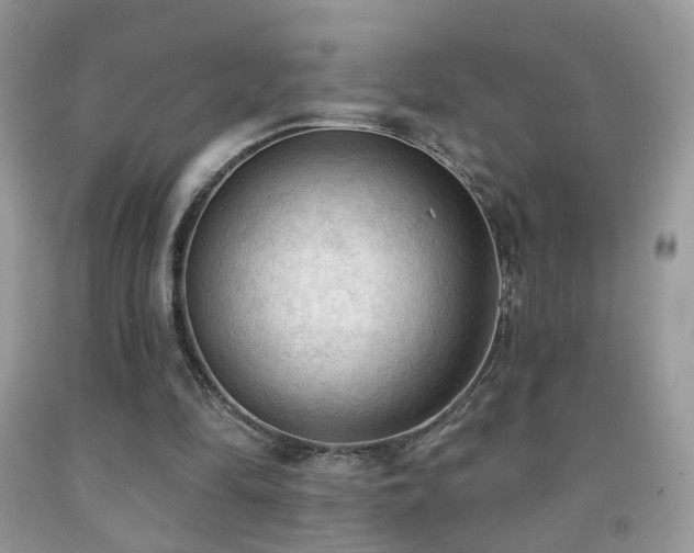 X0000091970294200709061338