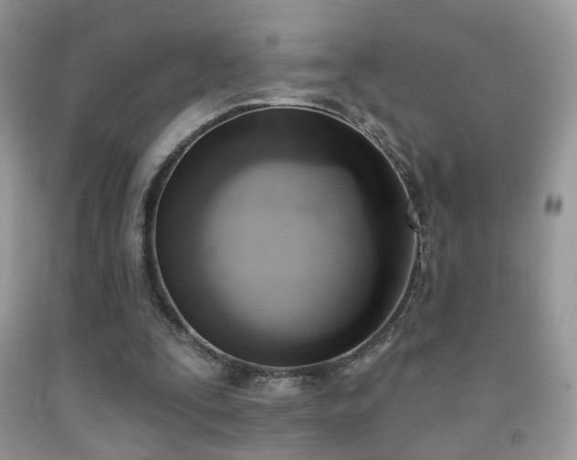 X0000091970295200709061338