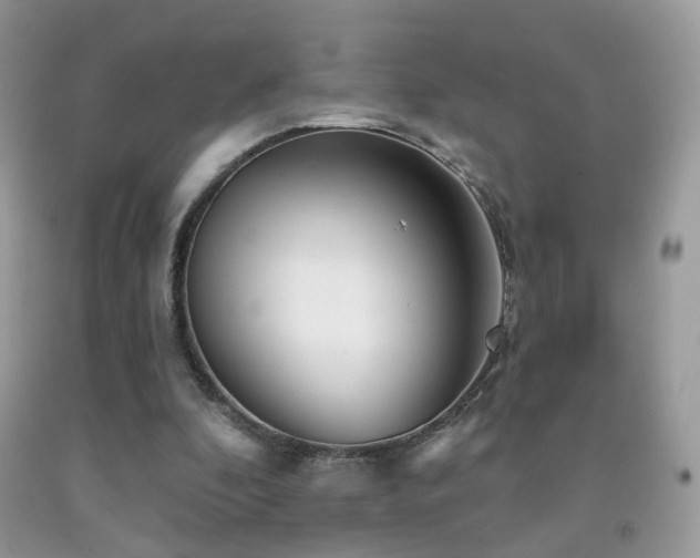 X0000091970296200709061338