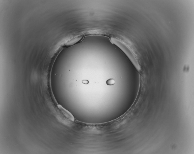 X0000091970297200709061338