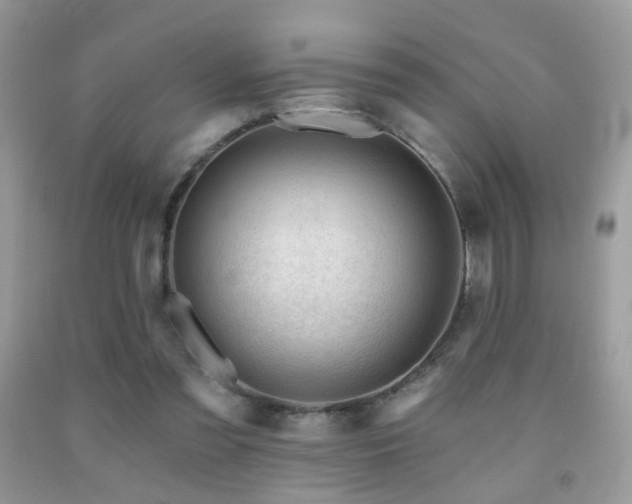 X0000091970301200709061338