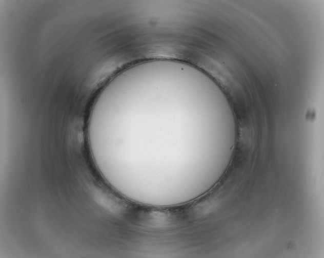 X0000091970302200709061338