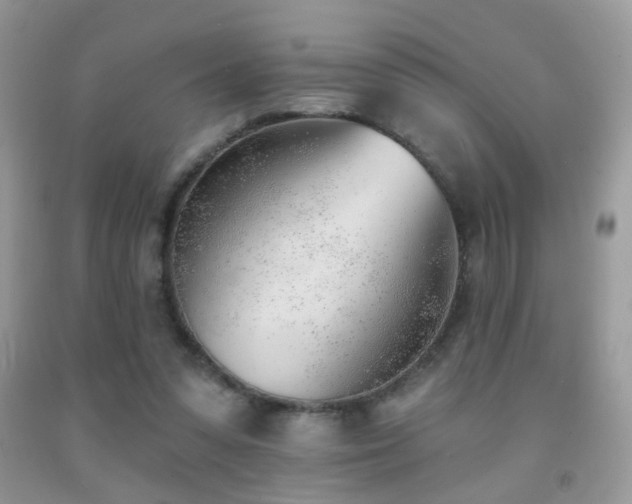 X0000091970303200709061338