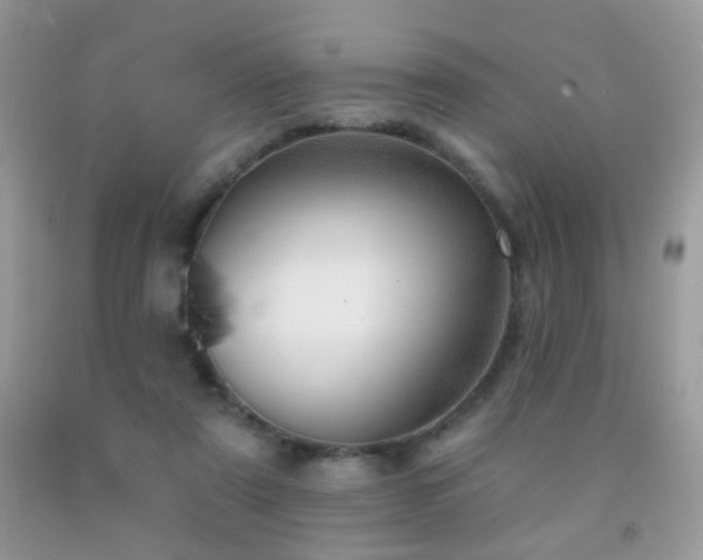 X0000091970307200709061338