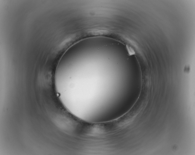 X0000091970308200709061338