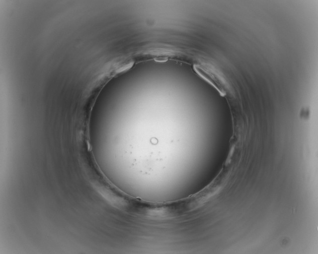 X0000091970309200709061338